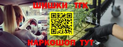 гидропоника Будённовск