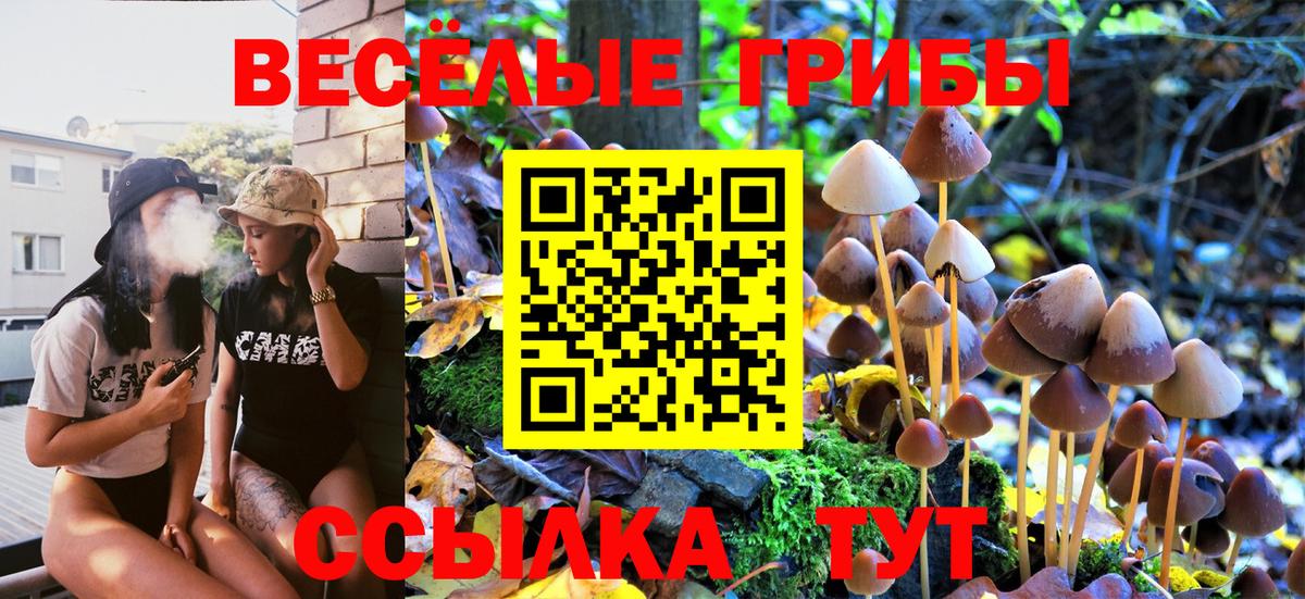 где продают наркотики  Вход с VPN  Сызрань  Галлюциногенные грибы GOLDEN TEACHER 